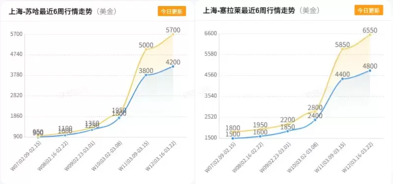3.17 行情插图.jpg