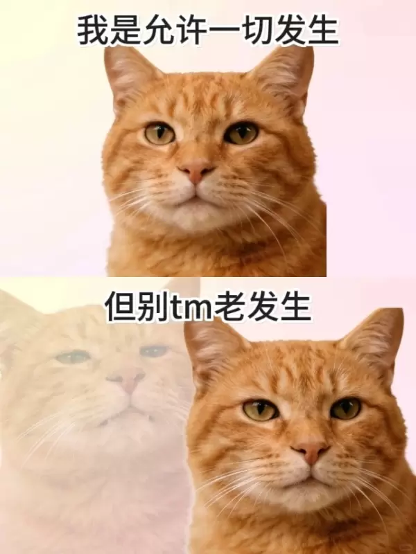 4.15 允许一切发生.jpg