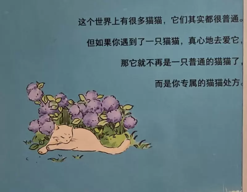 tmp_9f7fe8f0350bb180018a02cb6b58c14b893fd8f9de64f311.jpg