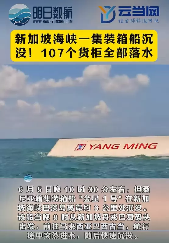 6.8 新加坡集装箱船.png