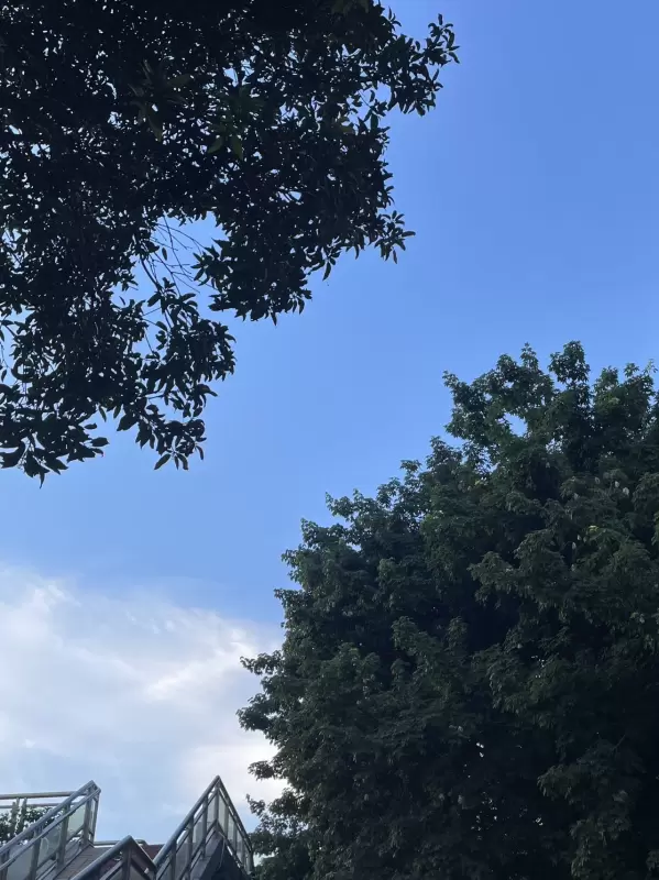tmp_45f3c7f448489224c52932f142054c69.jpg