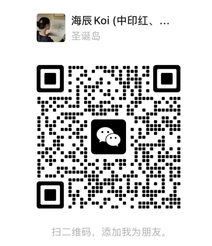 微信二维码.jpg